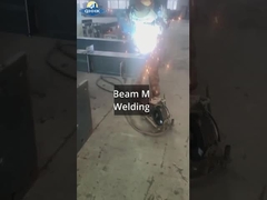 Taller de acero de Sri Lanka con proyecto de grúa